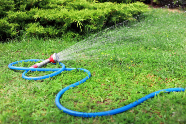 Garden Hose - Image 3